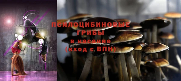 эйфоретик Покачи
