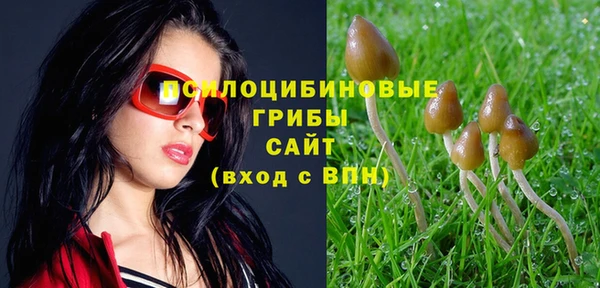 меф Армянск
