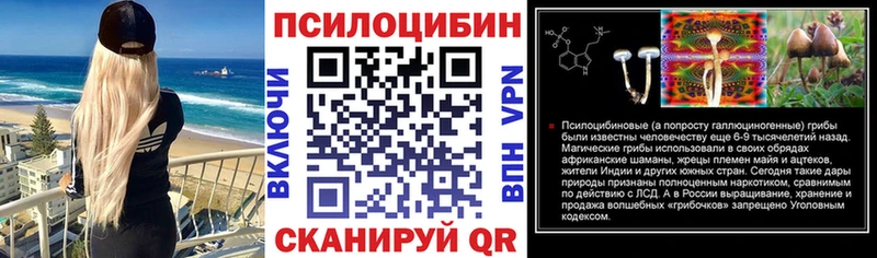 Галлюциногенные грибы Psilocybe  мега как войти  Кирово-Чепецк 